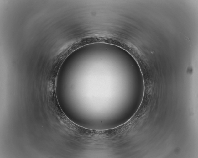 X0000091071110200708131146