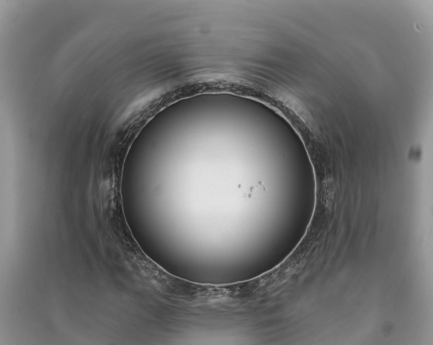 X0000091071111200708131146
