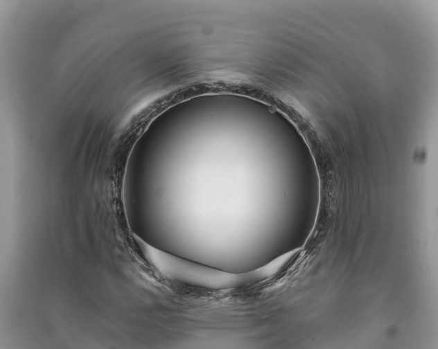 X0000091071112200708131146