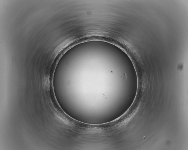 X0000091071113200708131146
