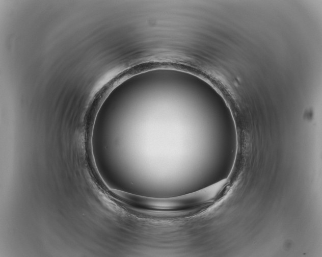 X0000091071114200708131146