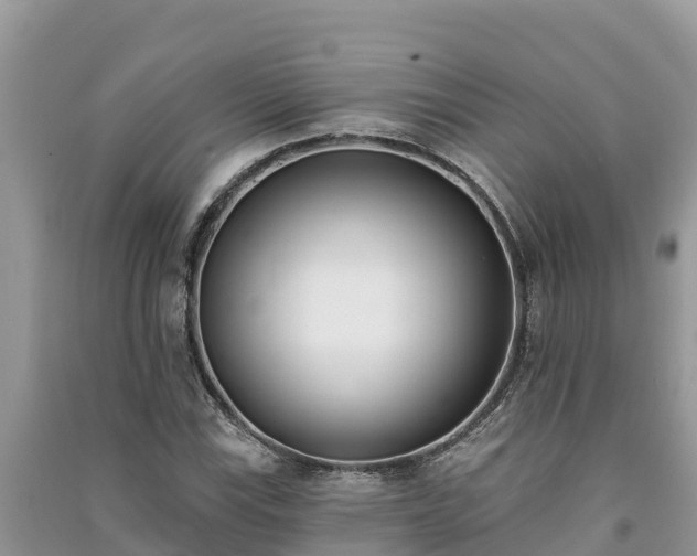 X0000091071115200708131146
