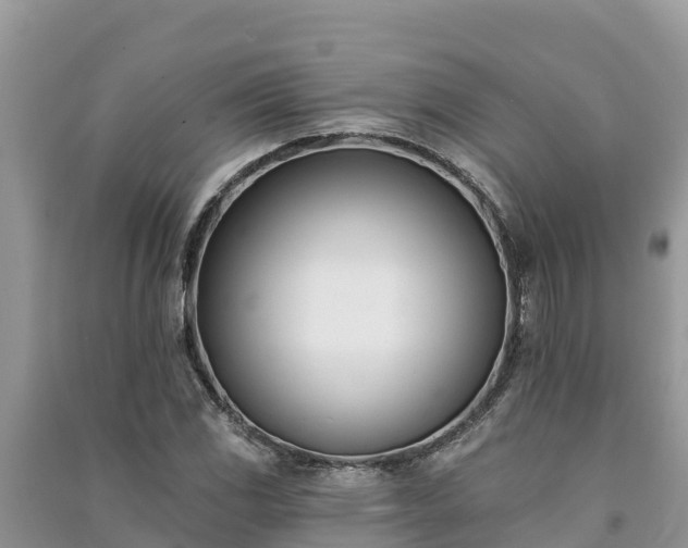 X0000091071117200708131146