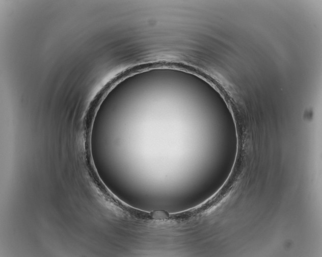 X0000091071118200708131146