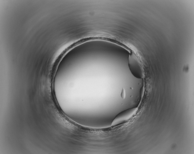 X0000091071120200708131146