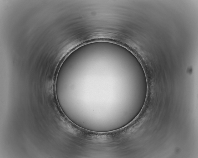 X0000091071121200708131146