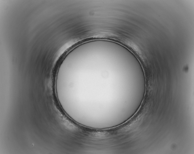 X0000091071122200708131146