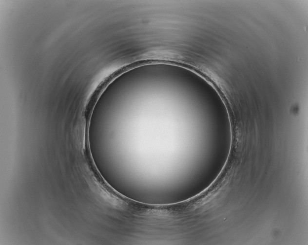 X0000091071123200708131147