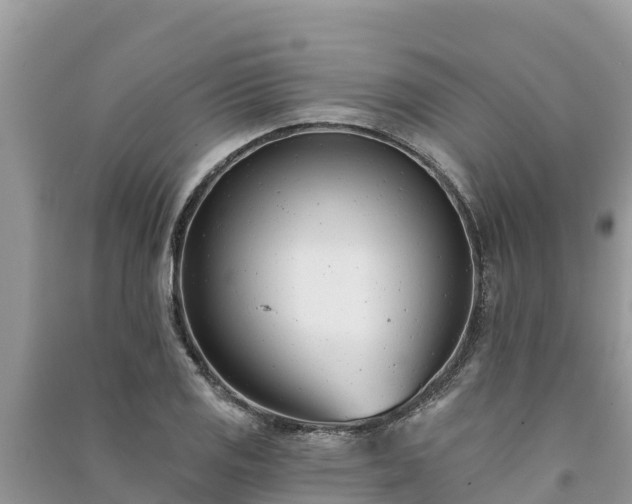 X0000091071125200708131147