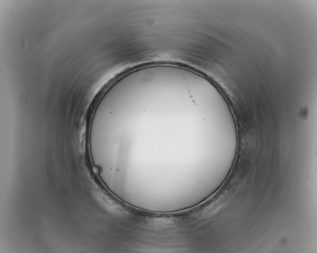 X0000091071126200708131147
