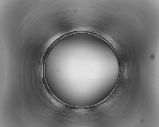 X0000091071127200708131147