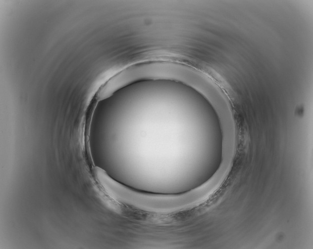 X0000091071128200708131147