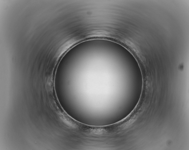 X0000091071129200708131147