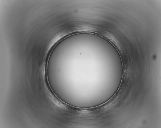 X0000091071130200708131147