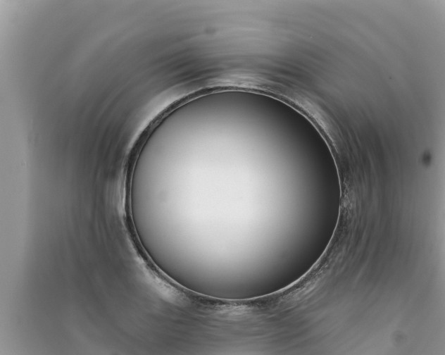 X0000091071131200708131147