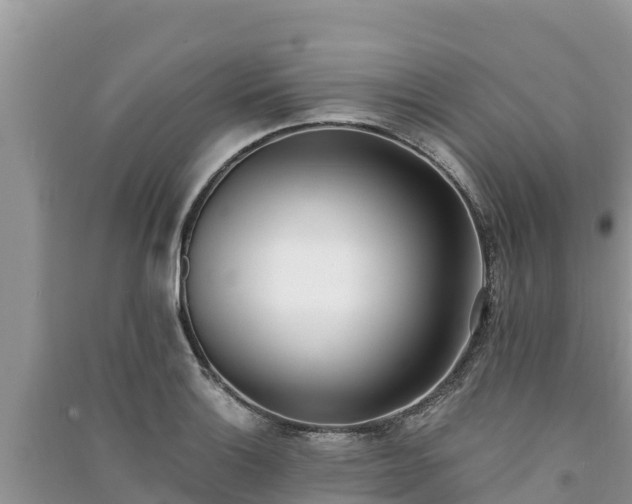 X0000091071132200708131147
