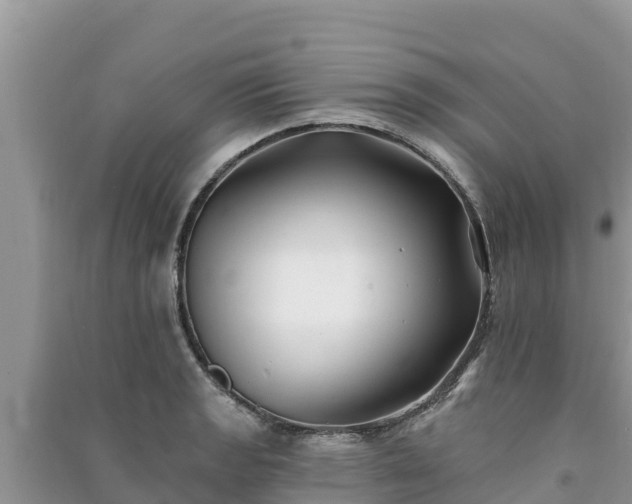 X0000091071133200708131147