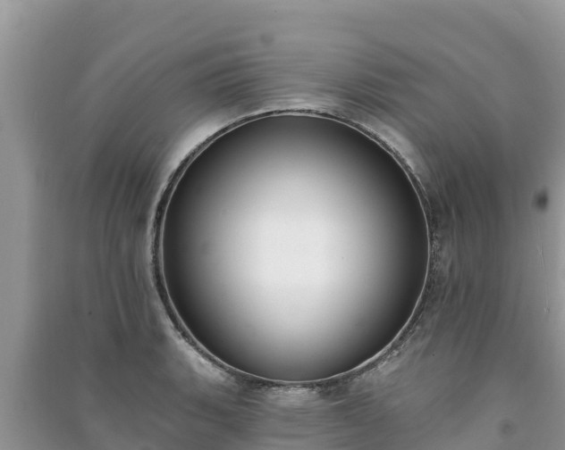 X0000091071135200708131147