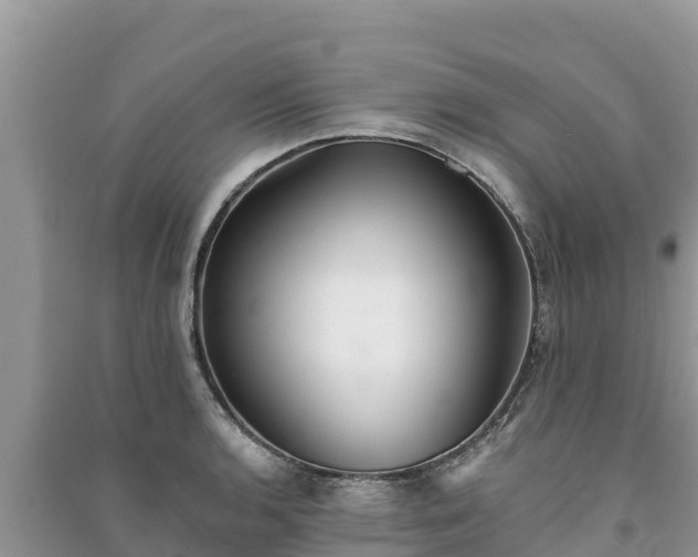 X0000091071136200708131147
