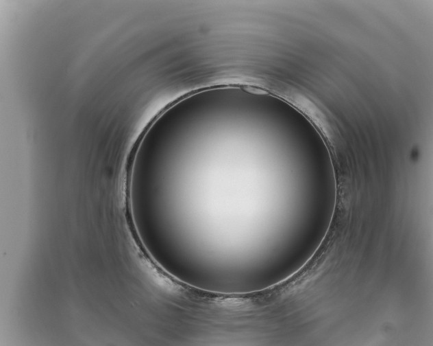 X0000091071140200708131147