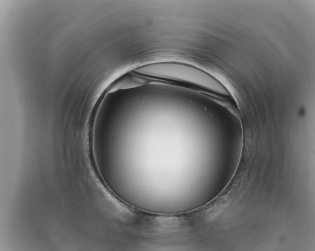 X0000091071142200708131147