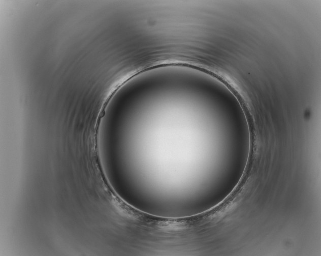 X0000091071145200708131147