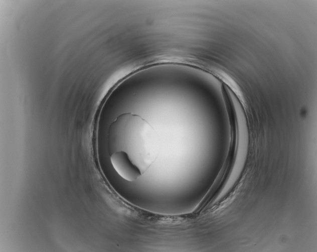 X0000091071146200708131147