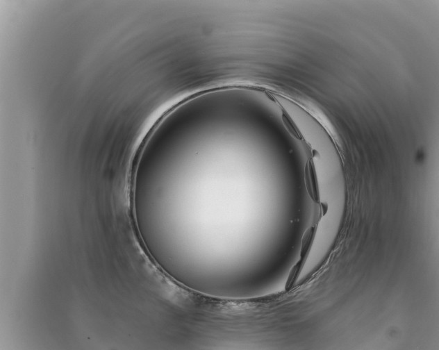 X0000091071148200708131147