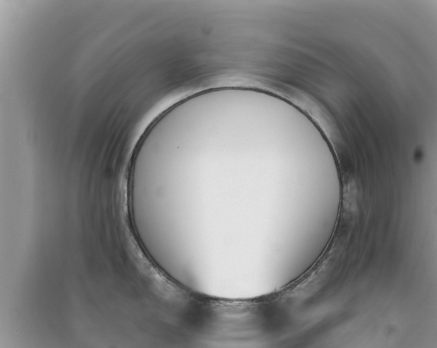 X0000091071150200708131147