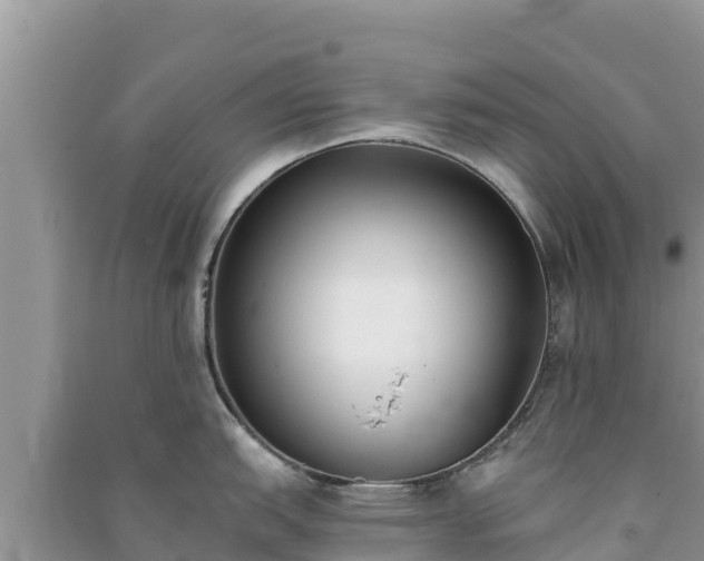 X0000091071151200708131147
