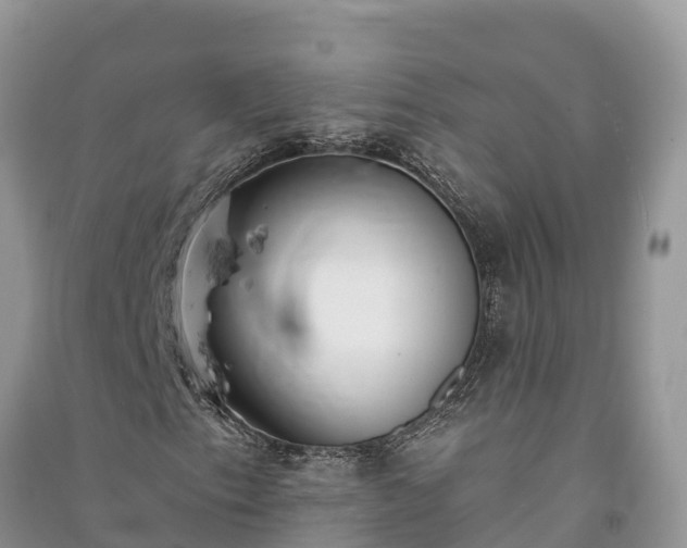X0000091071153200708131146