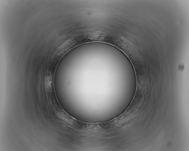 X0000091071154200708131146