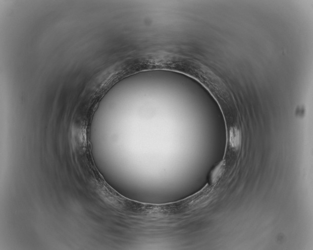 X0000091071155200708131146