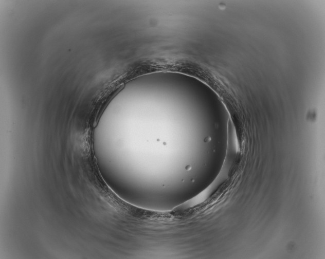 X0000091071156200708131146