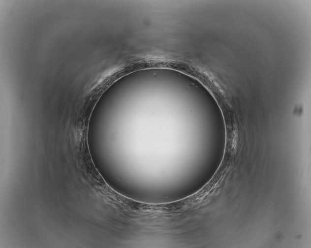 X0000091071157200708131146