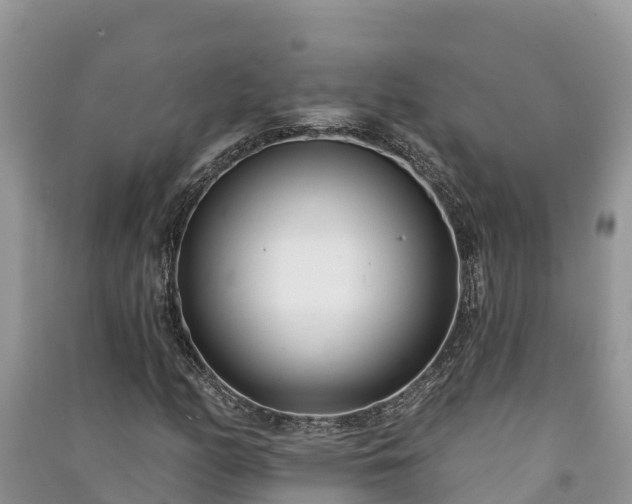 X0000091071158200708131146