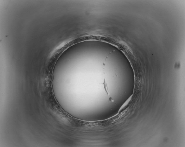 X0000091071159200708131146