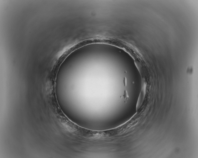 X0000091071160200708131146