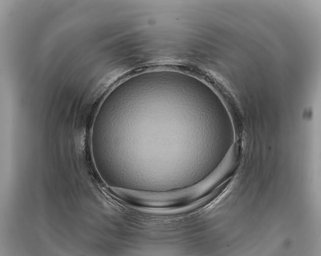 X0000091071161200708131146