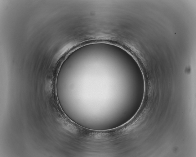 X0000091071163200708131146