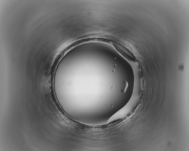 X0000091071164200708131146