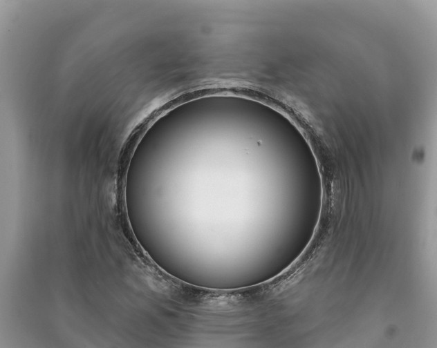 X0000091071165200708131146