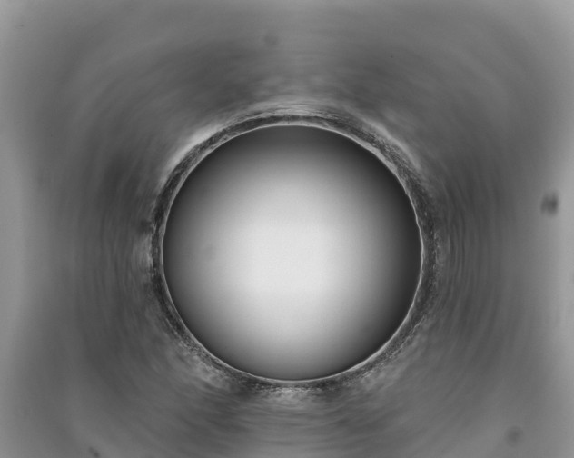X0000091071166200708131146