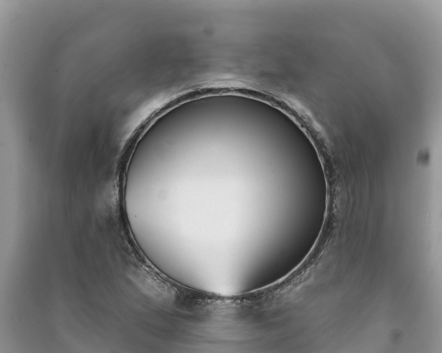 X0000091071167200708131146