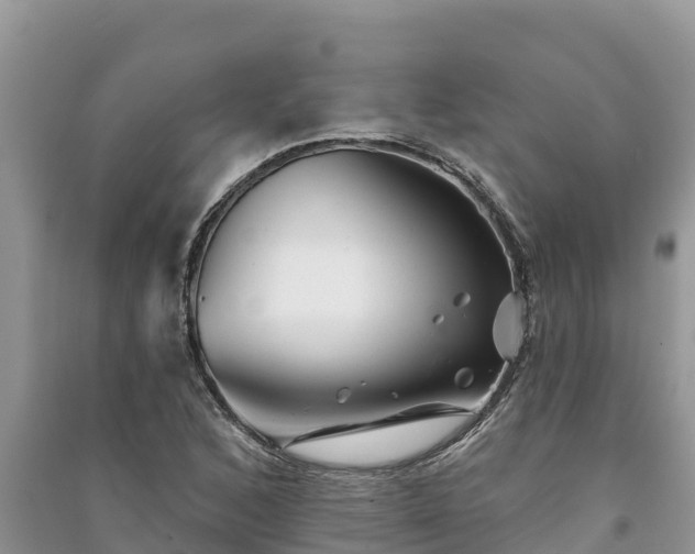 X0000091071168200708131146
