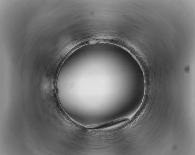 X0000091071169200708131146