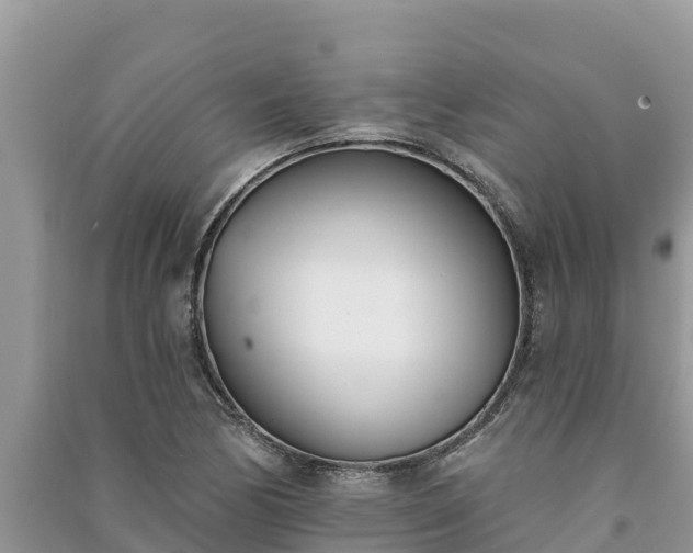 X0000091071170200708131146