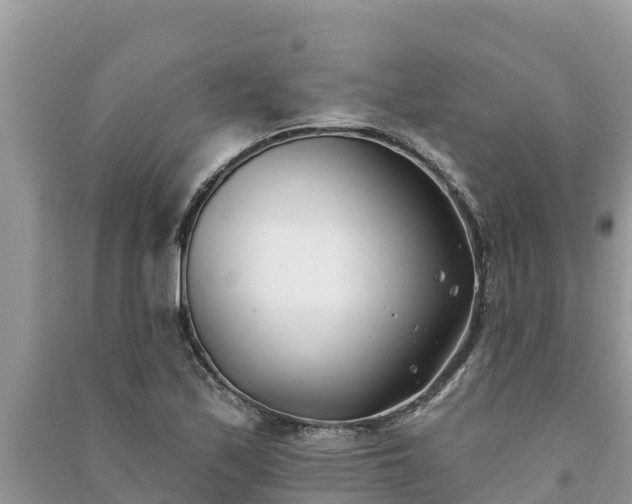 X0000091071171200708131146
