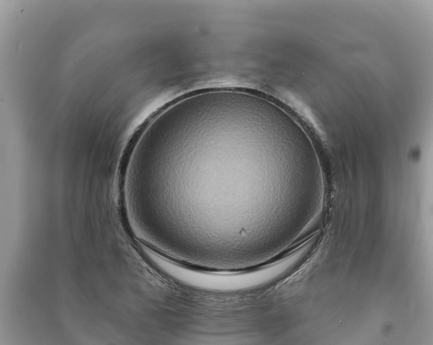 X0000091071173200708131146