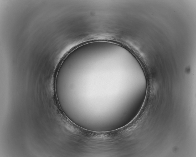X0000091071174200708131146
